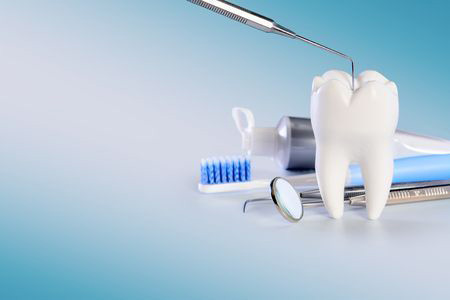 Dentist holding dental model